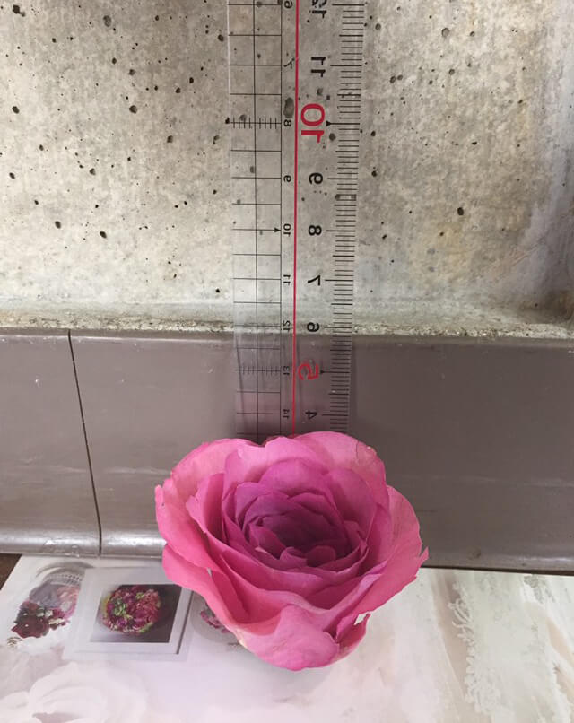 お花の高さの測り方