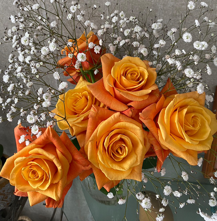 オレンジ色のバラのプロポーズ花束をガラスドームに保存
