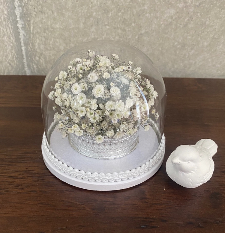 かすみ草の保存