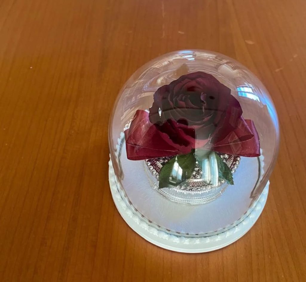 2026年3月の実績、小さな半球ドームで花を残す