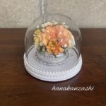 2026年3月の実績、小さな半球ドームで花を残す